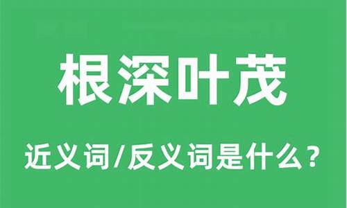 根深叶茂下一句是什么-根深叶茂是什么意思