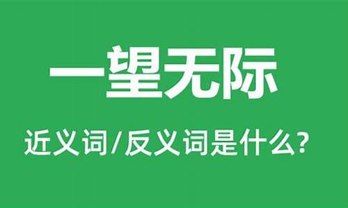 一望无际是什么意思说说你用什么方法理解的句子-一望无际是什么意思