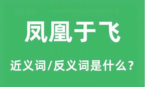 凤凰于飞是什么意思-凤凰于飞是什么意思请教