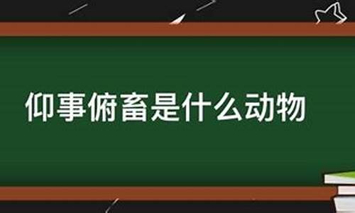 仰事俯畜什么意思啊-仰事俯畜什么意思