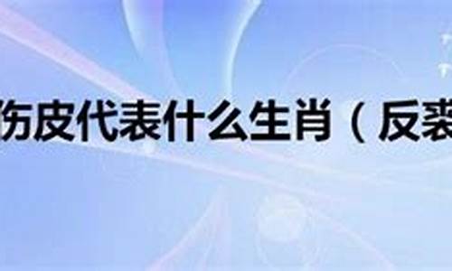 反裘伤皮打一最佳生肖-反裘伤皮