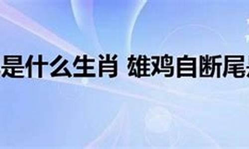 雄鸡断尾是什么生肖打一数字-雄鸡断尾是什么生肖