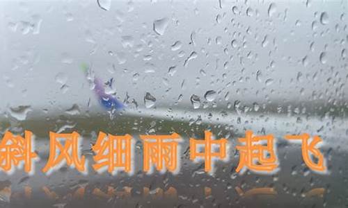 斜风细雨-斜风细雨不须归全诗的意思