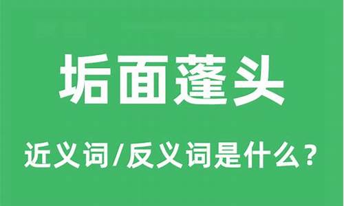 蓬首垢面是什么生肖-蓬首垢面而谈诗书