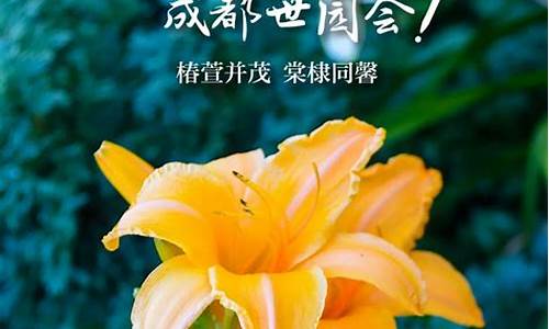 椿萱并茂-椿萱并茂,棠棣同馨 葳蕤繁祉,延彼遐龄