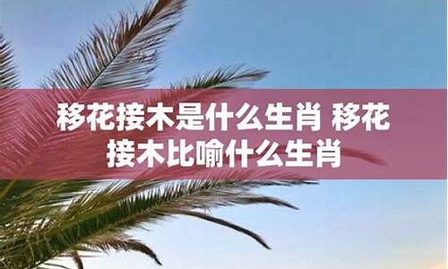 坎坷不平比喻什么生肖-坎坷不平的意思和造句