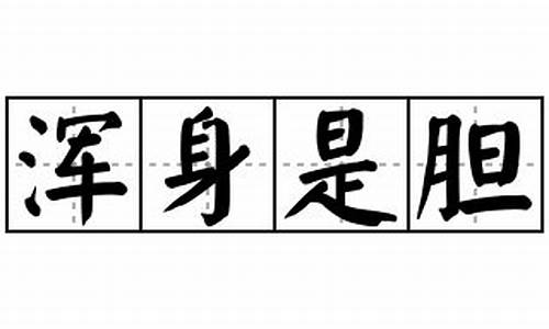 浑身是胆成语接龙怎么接-浑身是胆成语接龙