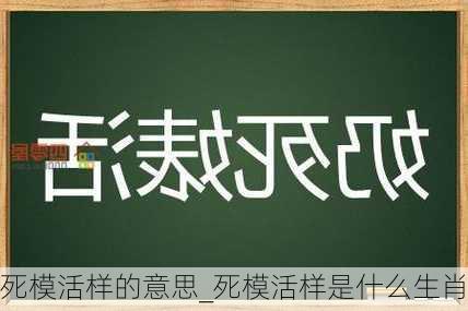 死模活样的意思_死模活样是什么生肖