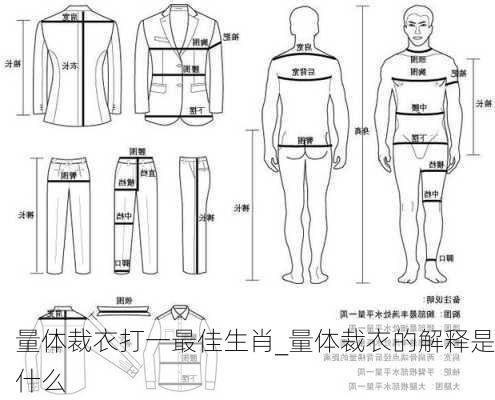 量体裁衣打一最佳生肖_量体裁衣的解释是什么