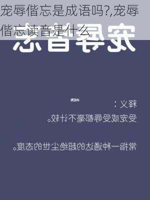 宠辱偕忘是成语吗?,宠辱偕忘读音是什么