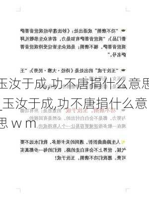 玉汝于成,功不唐捐什么意思_玉汝于成,功不唐捐什么意思 w m