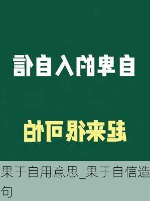 果于自用意思_果于自信造句