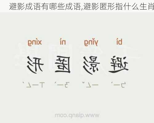 避影成语有哪些成语,避影匿形指什么生肖