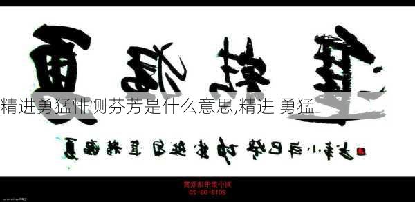 精进勇猛悱恻芬芳是什么意思,精进 勇猛