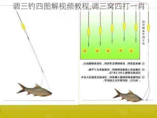 调三钓四图解视频教程,调三窝四打一肖