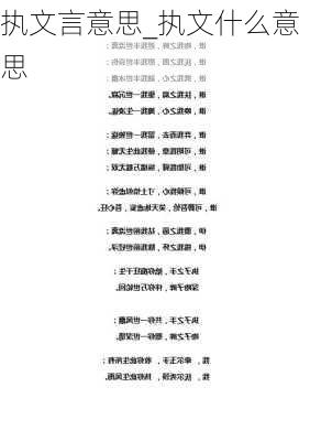 执文言意思_执文什么意思