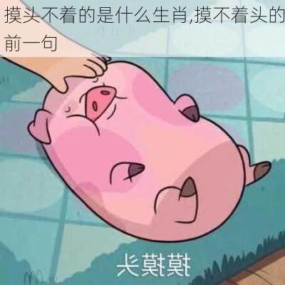 摸头不着的是什么生肖,摸不着头的前一句