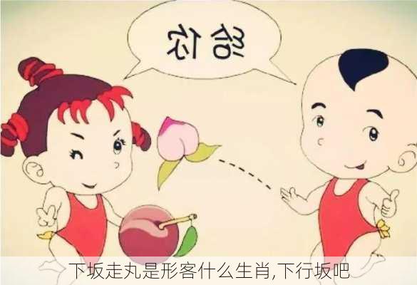 下坂走丸是形客什么生肖,下行坂吧