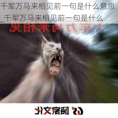 千军万马来相见前一句是什么意思_千军万马来相见前一句是什么