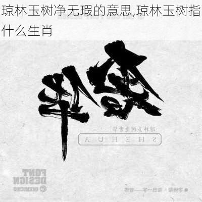 琼林玉树净无瑕的意思,琼林玉树指什么生肖