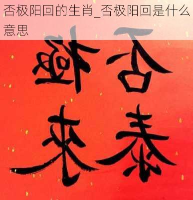 否极阳回的生肖_否极阳回是什么意思