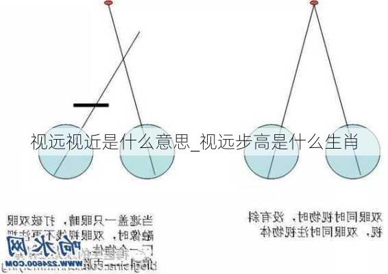 视远视近是什么意思_视远步高是什么生肖