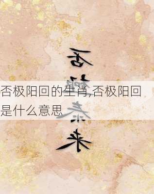 否极阳回的生肖,否极阳回是什么意思