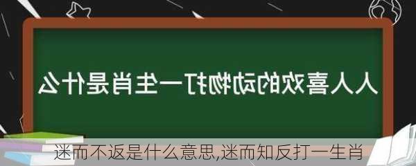 迷而不返是什么意思,迷而知反打一生肖