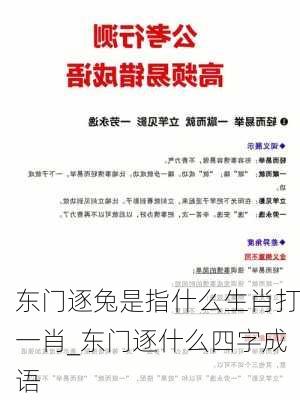 东门逐兔是指什么生肖打一肖_东门逐什么四字成语