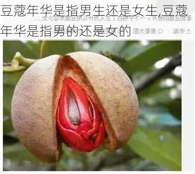 豆蔻年华是指男生还是女生,豆蔻年华是指男的还是女的