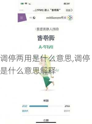 调停两用是什么意思,调停是什么意思解释