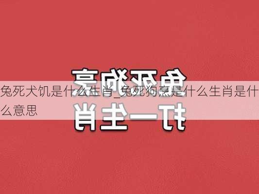 兔死犬饥是什么生肖_兔死狗烹是什么生肖是什么意思