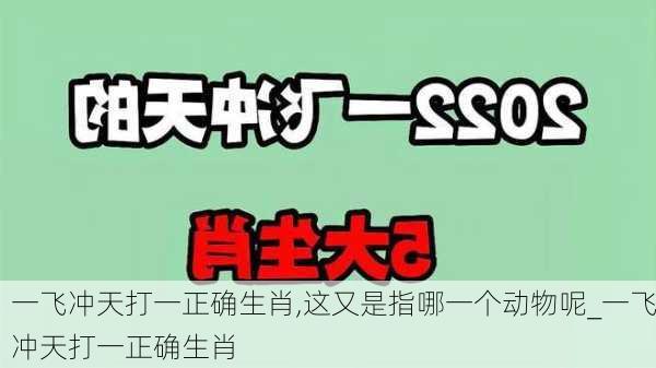 一飞冲天打一正确生肖,这又是指哪一个动物呢_一飞冲天打一正确生肖