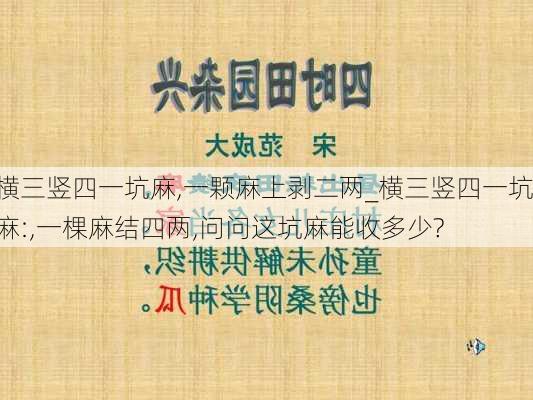 横三竖四一坑麻,一颗麻上剥二两_横三竖四一坑麻:,一棵麻结四两,问问这坑麻能收多少?