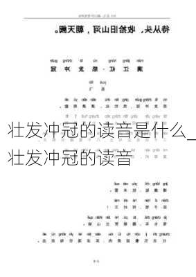 壮发冲冠的读音是什么_壮发冲冠的读音