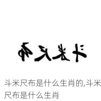 斗米尺布是什么生肖的,斗米尺布是什么生肖