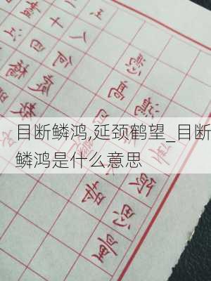 目断鳞鸿,延颈鹤望_目断鳞鸿是什么意思