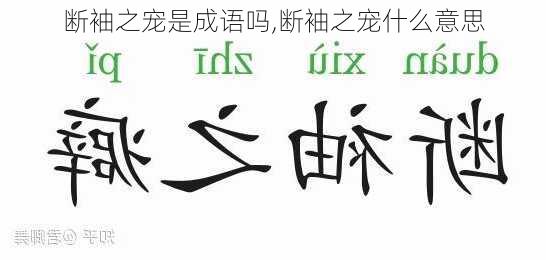 断袖之宠是成语吗,断袖之宠什么意思