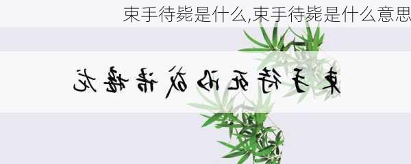 束手待毙是什么,束手待毙是什么意思