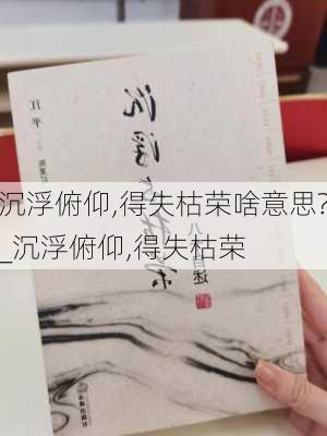 沉浮俯仰,得失枯荣啥意思?_沉浮俯仰,得失枯荣