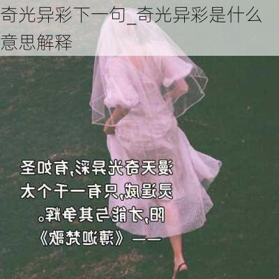 奇光异彩下一句_奇光异彩是什么意思解释