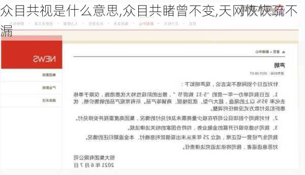 众目共视是什么意思,众目共睹曾不变,天网恢恢疏不漏