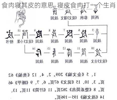 食肉寝其皮的意思_寝皮食肉打一个生肖