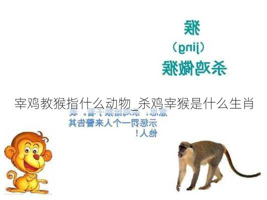 宰鸡教猴指什么动物_杀鸡宰猴是什么生肖