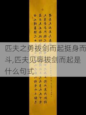 匹夫之勇拔剑而起挺身而斗,匹夫见辱拔剑而起是什么句式