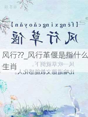 风行??_风行革偃是指什么生肖