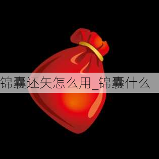 锦囊还矢怎么用_锦囊什么