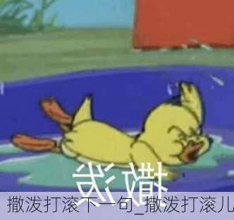 撒泼打滚下一句_撒泼打滚儿