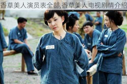 香草美人演员表全部,香草美人电视剧情介绍