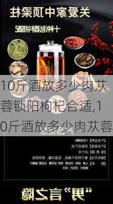 10斤酒放多少肉苁蓉锁阳枸杞合适,10斤酒放多少肉苁蓉